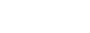 RACE CHIP